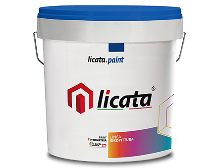 Intonaci, vernici e collanti