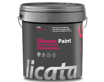 Siloxan Paint