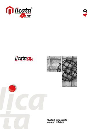 Licata CRM Anti Fall System