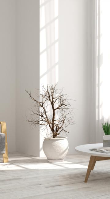 Application du produit à l'intérieur