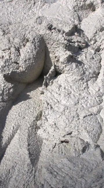 Cement grout with Licalatex